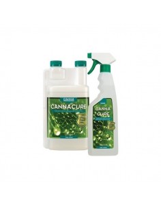 CannaCure