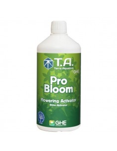 Pro Bloom