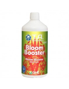 Bloom Booster