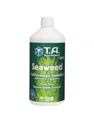 Seaweed