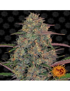 Pineapple chunk