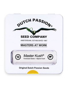 Masterkush 2