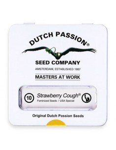 Strawberry Cough 2