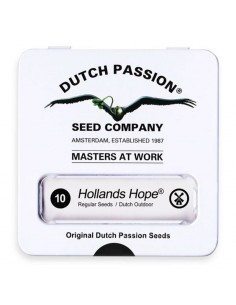 Hollands Hope 2