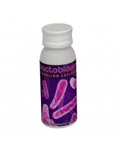 Bactobloom
