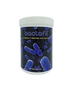 Bactofil 2