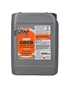 Coco Hesi 2