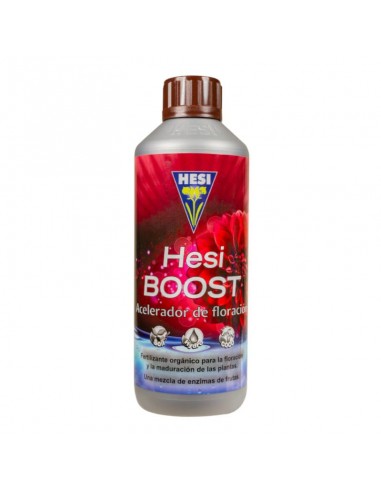 Hesi Boost