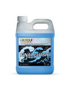 Final Flush Regular