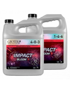 Impact Bloom A+B 2