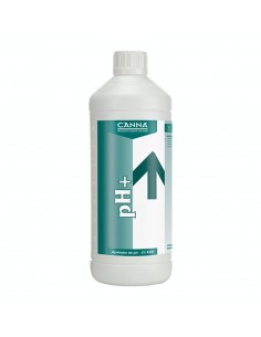 Ph + Plus