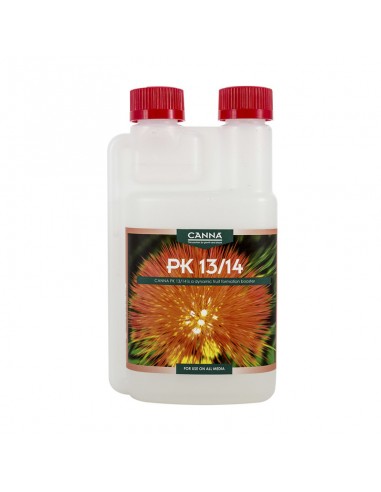 PK 13 / 14 Canna