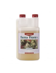 Terra Flores