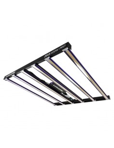 LED Zeus 600w  PRO de Lumatek