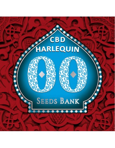 Harlequin CBD