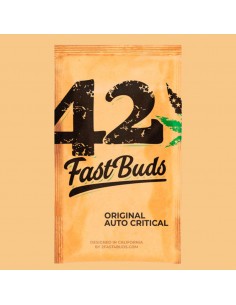Original Auto Critical