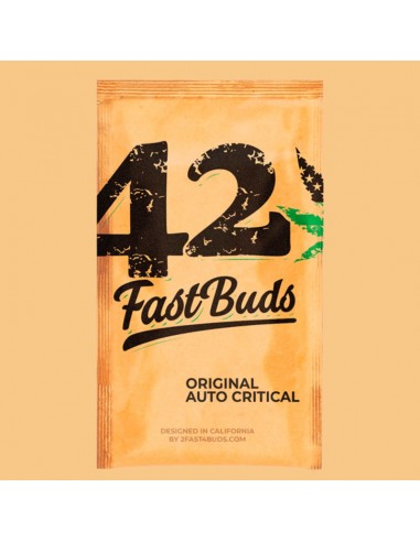 Original Auto Critical