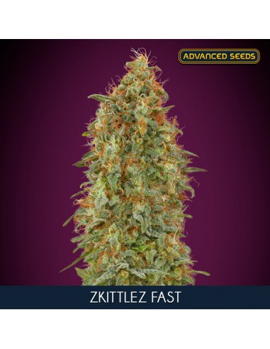 Zkittlez Fast