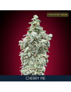 Cherry Pie
