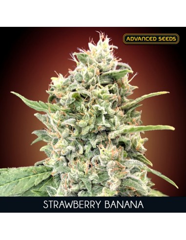 Strawberry Banana