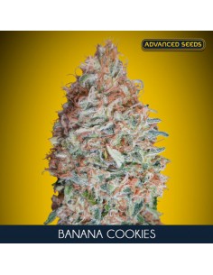 Banana Cookies