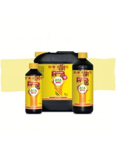 Bloom-C Ata Organics