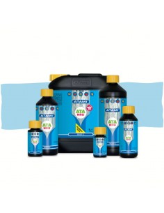 Root-C ATA NRG
