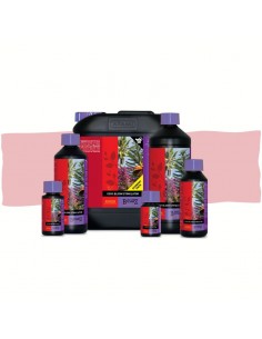 Coco Bloom Stimulator Atami...