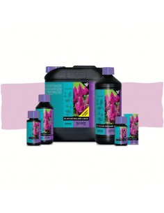 Blossom Builder Liquid