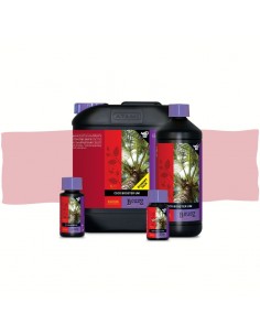 Coco Booster Universal...