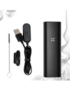 Pax Mini 2