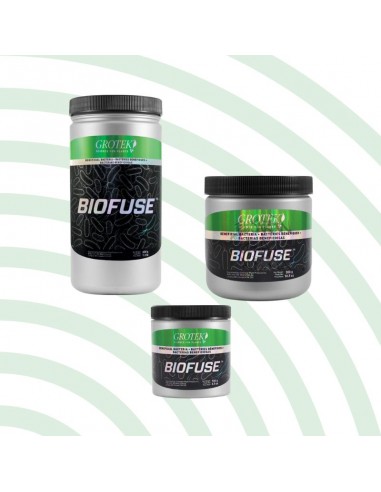 Bio Fuse