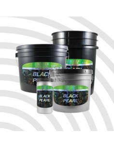 Black Pearl Grotek