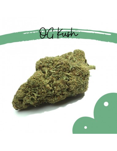Og Kush CBD