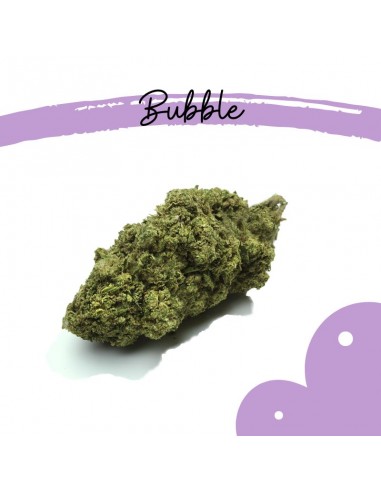 Bubble CBD
