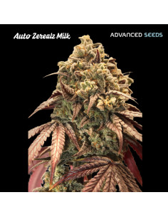Auto Zerealz Milk