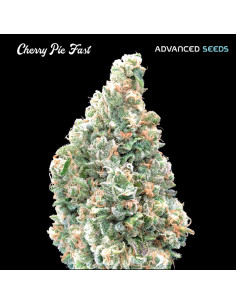 Cherry Pie Fast
