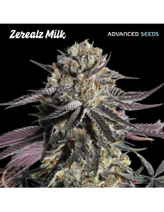 Zerealz Milk
