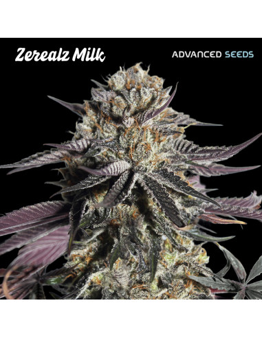 Zerealz Milk