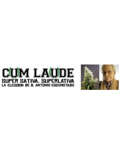 Cum Laude 2
