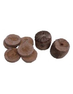 Jiffys (10uds)