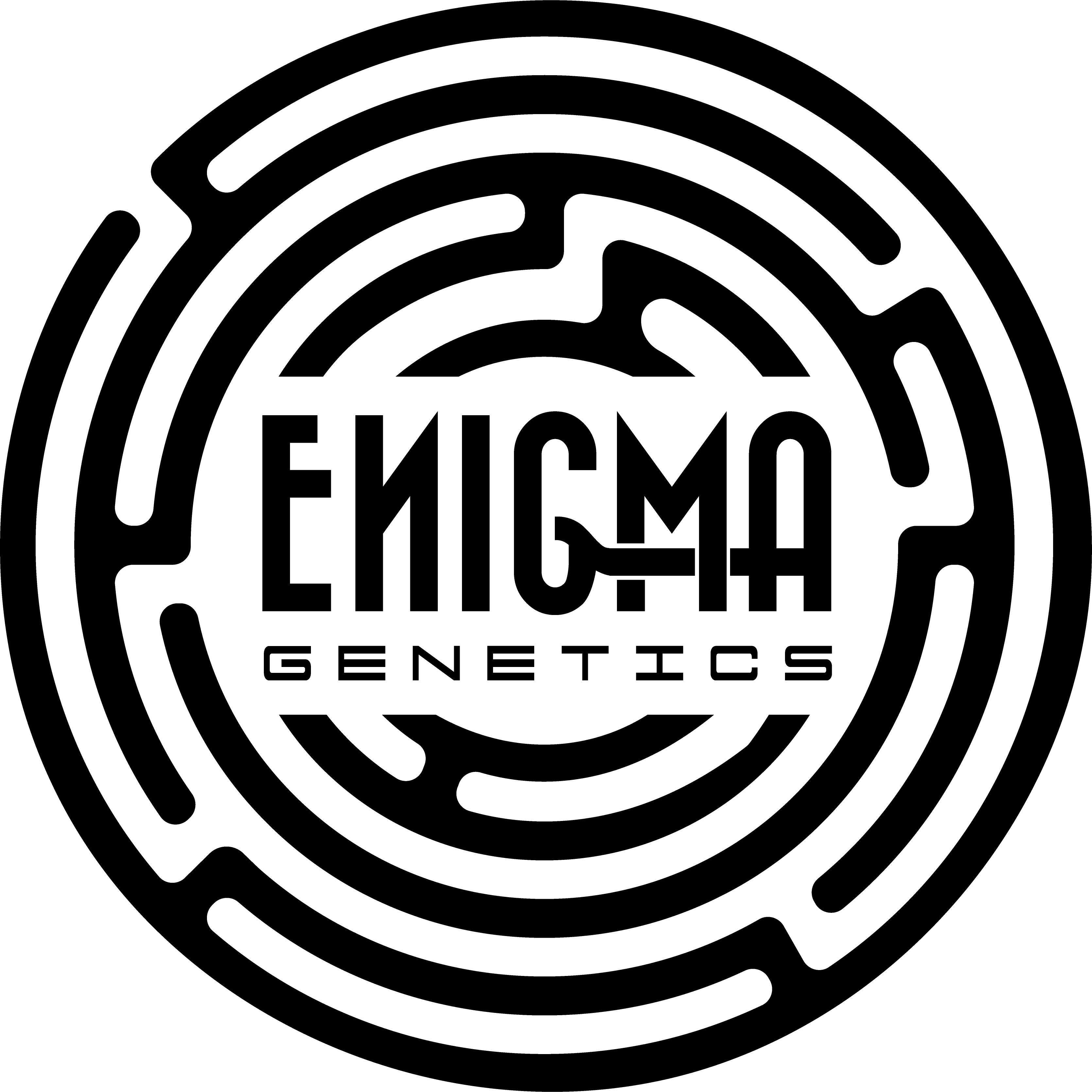Enigma Genetics